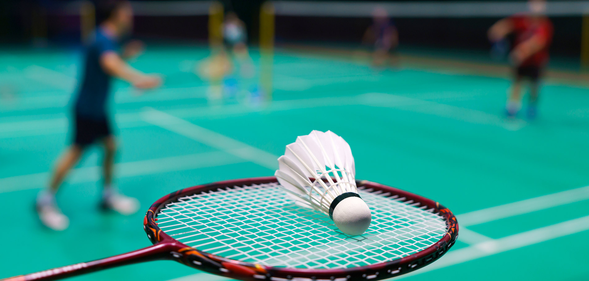 Professional Badminton Training Club
